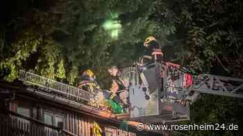 Reh rutscht von Hausdach und verfängt sich in Gitter – Feuerwehr eilt zur Hilfe