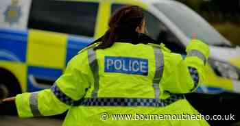 Dorset Police join national scheme to get zombie knives off the streets