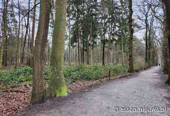 Staatsbosbeheer roept op bossen Drenthe te mijden na noodweer