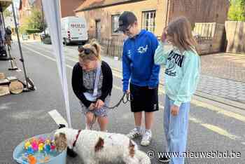 Honden en baasjes genoten van hun kermis
