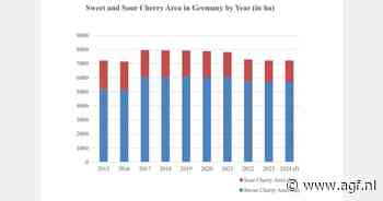 Duitse kersenoogst geraamd op 41.085 ton