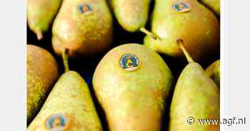 Conference perenoogst in Spaanse El Bierzo van start