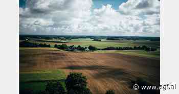 "Vrije handel in aardappelen is er momenteel nauwelijks of niet"