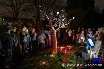 Wijnegem vernieuwt in afscheidnemen: sterrenregister voor ongeboren kindje en baasje samen met huisdier in hetzelfde graf