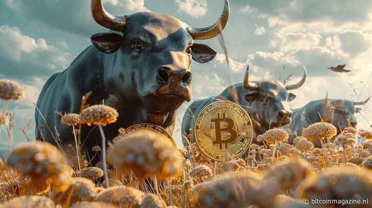 Markt gelooft in overwinning Trump: bullish voor bitcoin