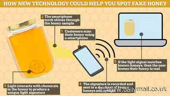 Bee-ware of British honey! Almost half the varieties sold in UK supermarkets are bulked out with cheap sugar syrups, research reveals - but a new test can detect if the one in your cupboard is fake
