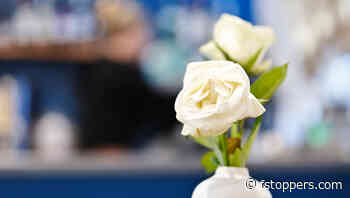 Is the Viltrox 56mm f/1.7 the Best Budget Portrait Lens?