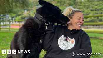 Jodie Marsh to appeal over animal licence decision