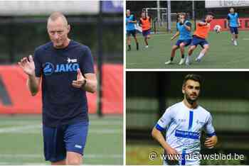 ONZE PROGNOSE. Avanti Stekene wil prestatie van vorig seizoen evenaren, maar de reeks oogt nu zwaarder