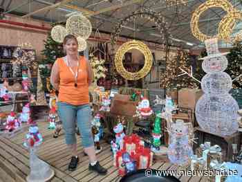 Woensdag misschien dertig graden, maar in Floralux is men volop bezig met de kerstafdeling: “Ze staan daarvoor gekend”