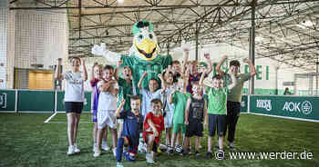 "Möwenalarm" in Werders BOLZEREI
