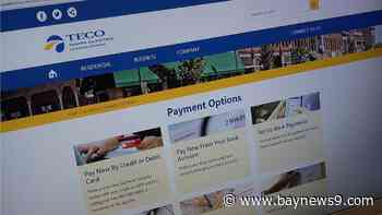 TECO set to ask state to approve rate rike