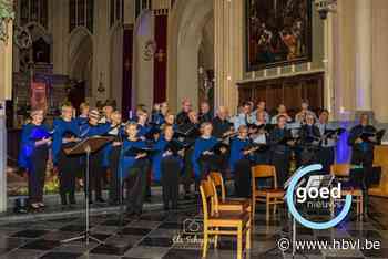 Afgeladen Sint-Quintinuskathedraal getuigt van een geslaagd Virga Jesseconcert