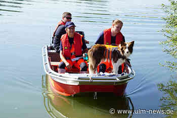 Üben für den Ernstfall - Feuerwehr und Rettungshunde sind dafür gerüstet