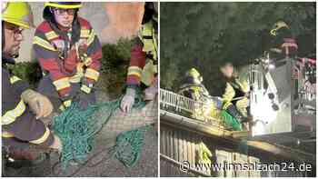 „Auch noch nie erlebt“: Reh von Hausdach gerettet – So war der ungewöhnliche Einsatz für Garser Wehr