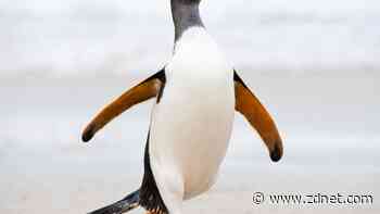 Linux market share hit its highest point ever last month