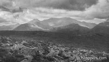 Why Simplicity in Photography Matters More Than You Think