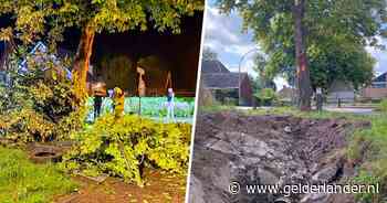 Omstanders redden tieners uit wrak Tesla: berm vol bandensporen getuigt van bizarre crash