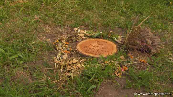 Niet iedereen komt in aanmerking voor euthanasie: 'Wet moet veranderen'