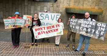 Newcastle wildlife campaigners protest over plans for new 'strategic route' through nature reserve