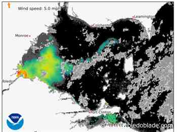 Satellite now only sees 300 square miles of algal bloom, but some might be hidden