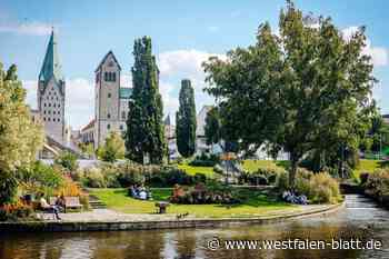 Paderquellgebiet: Anfang 2025 starten die Arbeiten