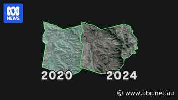 Supermarkets under pressure to act as investigation finds 16,000 hectares of forest bulldozed on beef farms