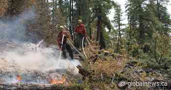 Rain cools B.C. wildfires but creates new hazards for firefighters