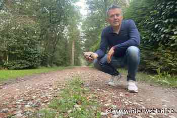 Gemeente verhardt zandpad in natuurgebied zonder vergunning: “Dit is slag in gezicht van vrijwilligers”