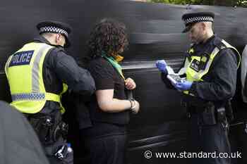 Person stabbed and firearms seized during last day of Notting Hill Carnival