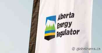 Search committee to look for new head of Alberta Energy Regulator