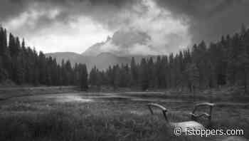 Why There Are No Shortcuts in Photography