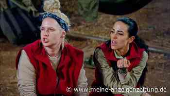 Tag zwölf im Dschungel: Das böse F-Wort und neue Allianzen