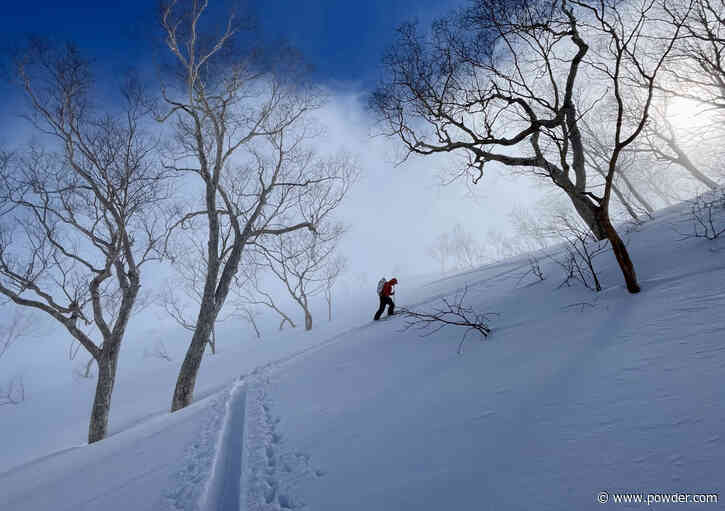 Best Backcountry Touring Skis of 2025