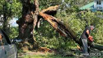 'Probably the scariest storm I've ever experienced': Thunderstorm causes damage in southeast Sask.