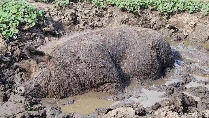 Clouds and gusty winds ahead of Tuesday's low-pressure system