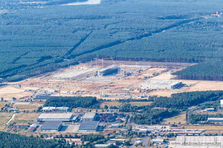 Unruhe im Grünen: Tesla-Gegner halten Protestcamp aufrecht