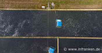 Verband fordert Bürokratieabbau zugunsten der Aquakultur