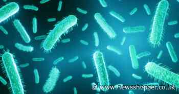 The reported E. coli cases in south east London - nearing 4,000 over three years