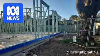 Sydney developer fined $45,000 after trying to appeal $3,000 council fine for destroying tree