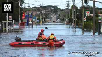 Flood victims at risk of low-ball cash settlements from insurance companies, report finds