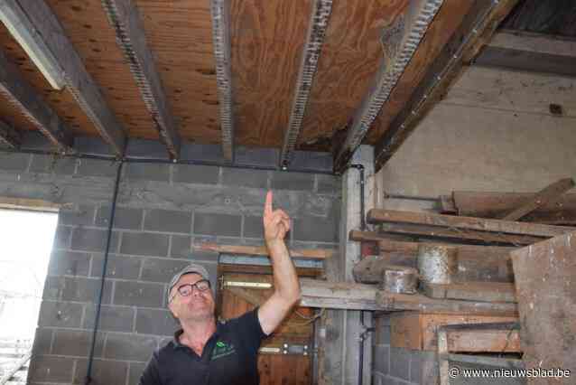 Vakantieboerderij Hof Ter Lo telt liefst 24 nesten van boerenzwaluwen: “Het is echt genieten”