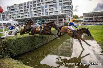 Hoogdag aan de Gaverbeek: ontdek hier wat er op het programma staat