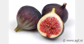 Klimaatverandering speelt Hongaarse vijgensector in de kaart
