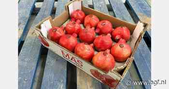 "Vroege Spaanse granaatappeloogst kan rekenen op levendige markt"
