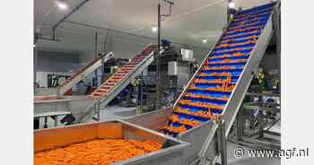 "We hebben onze wortelexport verdrievoudigd"