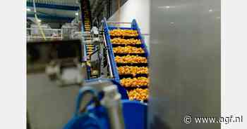 PeelPioneers breidt uit in Den Bosch en Spanje