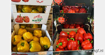 "Poolse paprika's een interessant alternatief"