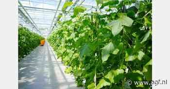 Hogere werkdruk belangrijkste gevolg personeelstekort volgens ondernemers