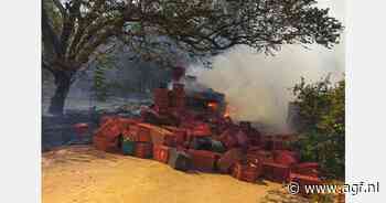 "Branden in São Paulo leggen limespercelen in de as"